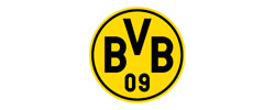 BVB Borussia Dortmund GmbH & Co.KGaA